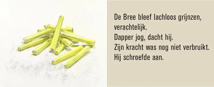 Eveline den Heijer vormgeving – F. Bordewijk Serie, inkijk 4 – MatchBoox Mini boekjes