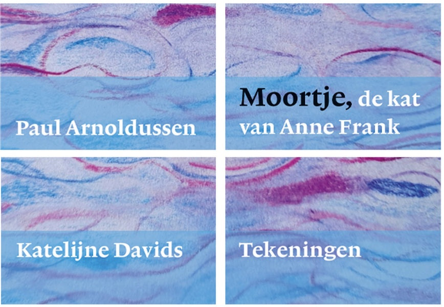 Cover van de Anne Frank Serie met tekeningen van Katelijne Davids, vier uitvouwbare miniatuurboeken van MatchBoox. – MatchBoox productafbeelding