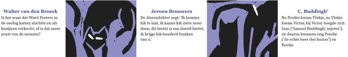 Inkijkpagina uit Bekende schrijvers over katten Serie 1, met tekst en originele illustraties – MatchBoox productafbeelding 4
