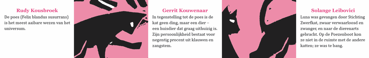 Inkijkpagina uit Bekende schrijvers over katten Serie 2, met tekst en originele illustraties – MatchBoox productafbeelding