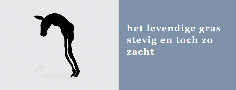 Inkijkpagina uit Exclusieve Ezels Serie, met tekst en originele illustraties (3) – MatchBoox productafbeelding