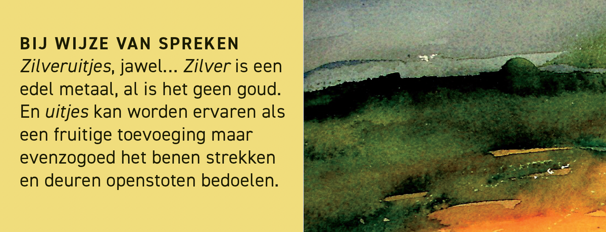 Inkijkpagina uit Heere Heeresma Serie, met tekst en originele illustraties – MatchBoox productafbeelding