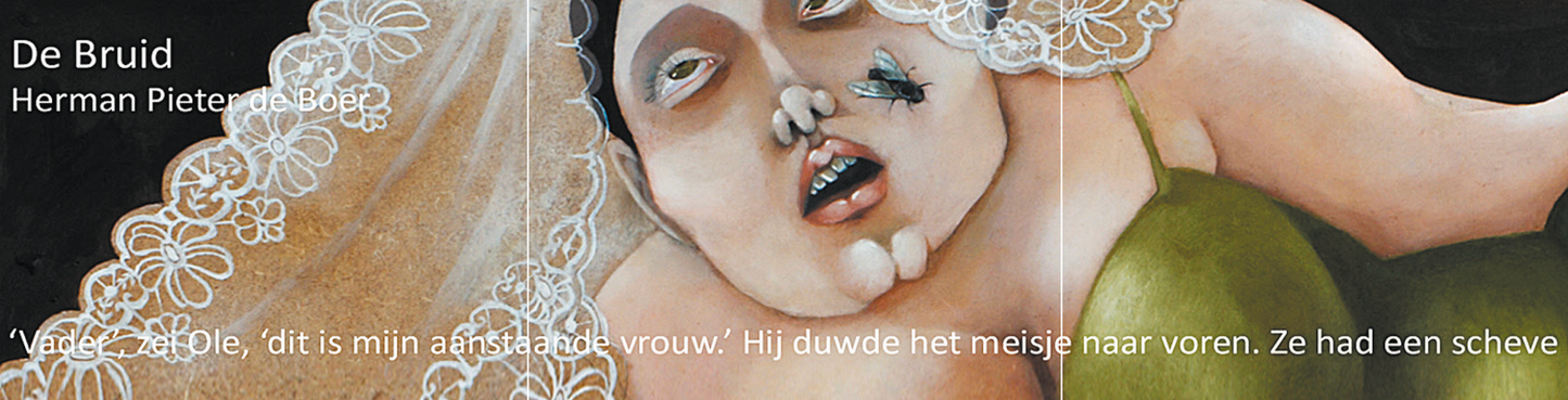 Inkijkpagina uit Herman Pieter de Boer – De Bruid, met tekst en originele illustraties – MatchBoox productafbeelding