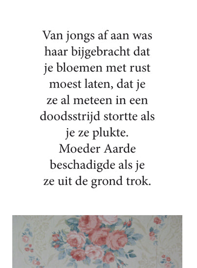 Inkijkpagina uit Jan Cremer – Kornblumenblau, met tekst en originele illustraties – MatchBoox productafbeelding 3