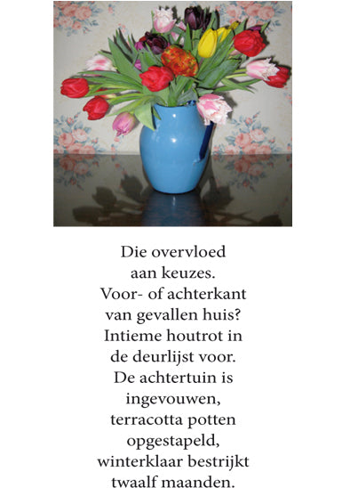 Inkijkpagina uit Joost Zwagerman – Die overvloed, met tekst en originele illustraties (8) – MatchBoox productafbeelding