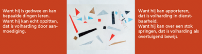 Inkijkpagina uit Katelijne Davids kunst – Smarts Katten Serie, met tekst en originele illustraties (3)
