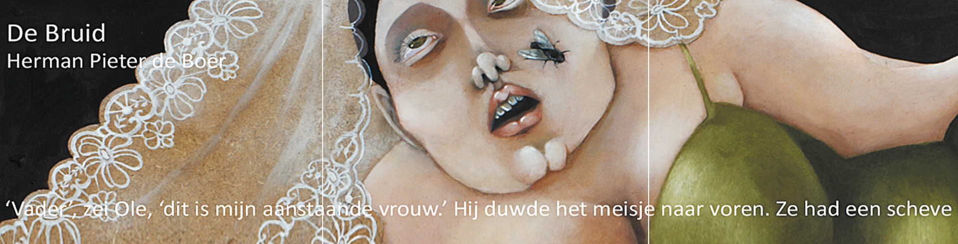 Inkijkpagina uit Nanne Meulendijks illustraties – De Bruid, met tekst en originele illustraties – MatchBoox productafbeelding 4