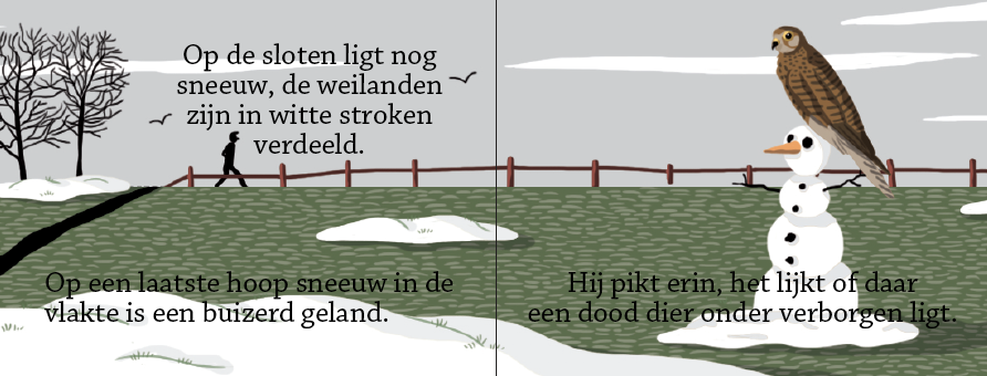 Inkijkpagina uit Tommy Wieringa – Zwaan schuif aan, met tekst en originele illustraties (3) – MatchBoox productafbeelding