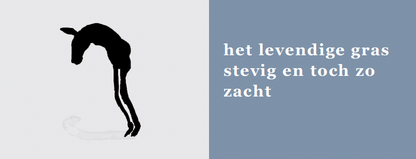 Deirdre Roovers vormgeving – Exclusieve Ezels Serie, inkijk 4 – MatchBoox Mini boekjes